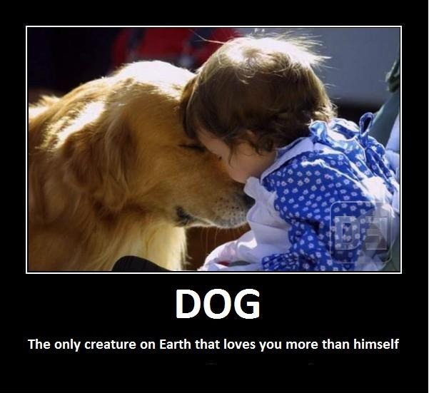 420606 10150519127446840 21785951839 9189293 361865114 n